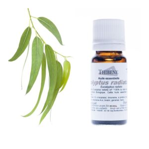 Huile Essentielle d'eucalyptus radiata Bio 10 ml