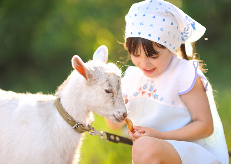 Les bienfaits de la cosmétique au lait de chèvre