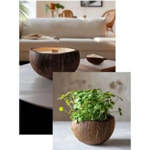 La bougie qui devient plante modèle Coco