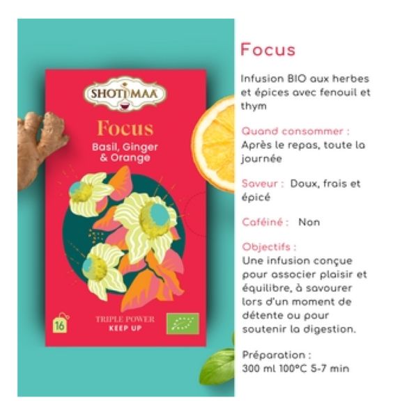 Tisane Bio Focus Shoti Maa | Infusion Basilic, Gingembre & Orange – Image 2