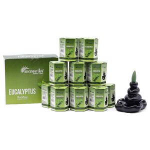 Cône d'Encens à Reflux Masala — Eucalyptus (Paquet de 10)